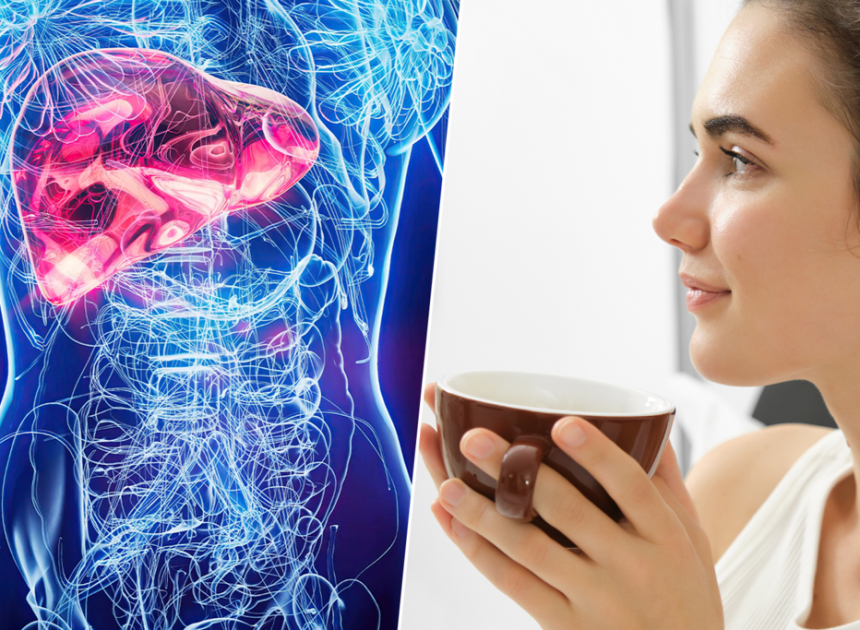 El hígado graso afecta a uno de cada cuatro adultos: así es como el café y el té verde se han colado en la lista de aliados